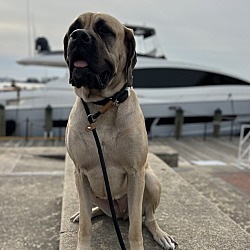Photo of Zilla
