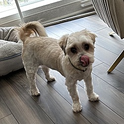 Photo of Emma