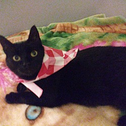 Photo of Darla
