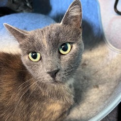 Photo of Eliza