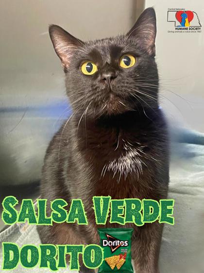 Photo of Salsa Verde Dorito
