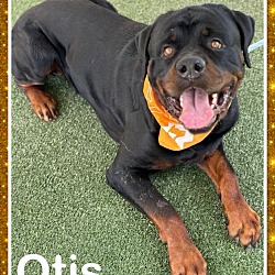 Thumbnail photo of OTIS #4