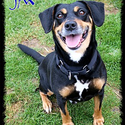 Thumbnail photo of Jax #1