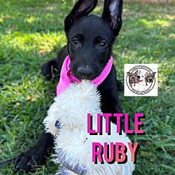 Thumbnail photo of Little Ruby Gem #1