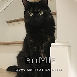 Photo of Emmie