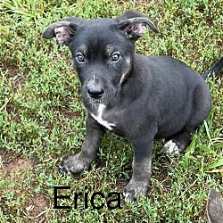Photo of Erica