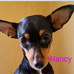 Thumbnail photo of Nancy #1