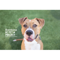 Thumbnail photo of Bambina #1