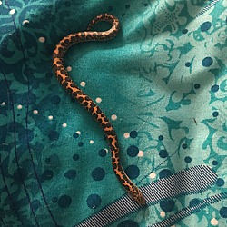 Thumbnail photo of Kenyan sand boa #1