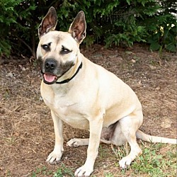 Photo of Scout 6946