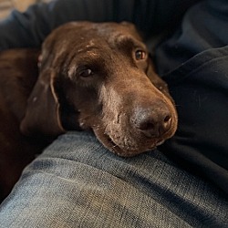 Photo of Margaret