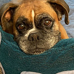 Photo of Lexi