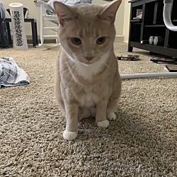 Photo of Cracker