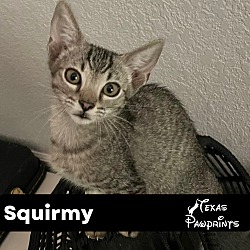 Photo of Squirmy