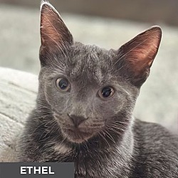 Photo of Ethel