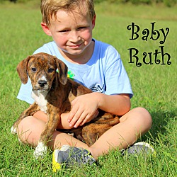 Thumbnail photo of Baby Ruth ~ meet me! #2