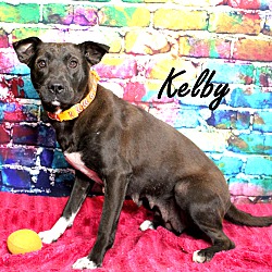 Thumbnail photo of Kelby ~ meet me! #4
