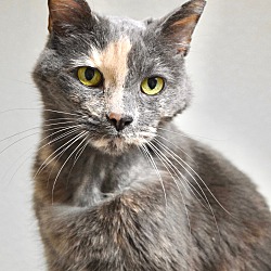 Photo of Emmy Lou