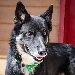 Photo of Romeo