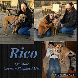 Thumbnail photo of Rico #4