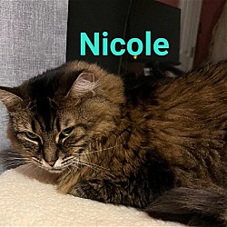 Thumbnail photo of Nicole #1