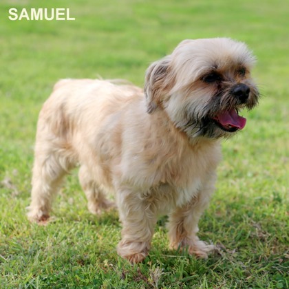 Photo of Samuel