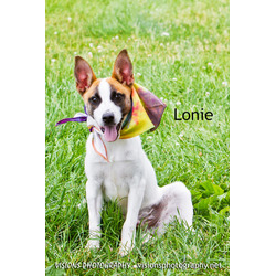 Photo of Lonie