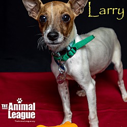 Thumbnail photo of Larry #1