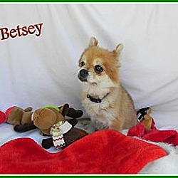 Photo of Betsey