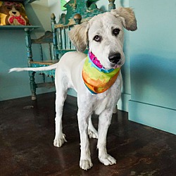 Photo of Nala