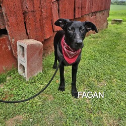 Thumbnail photo of Fagan #4