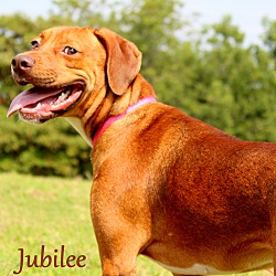 Thumbnail photo of Jubilee ~ meet me! #2