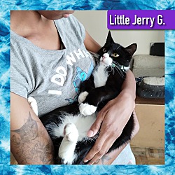 Thumbnail photo of Little Jerry G #4
