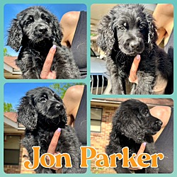 Photo of Jon Parker Adoption Pending