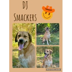 Photo of DJ Smackers