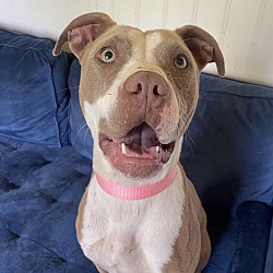 Photo of Precious