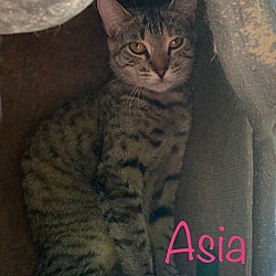 Photo of Asia