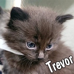 Photo of Trevor