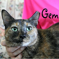 Thumbnail photo of Gemini #2