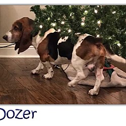 Thumbnail photo of Dozer #2