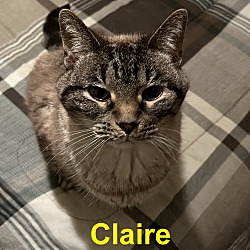 Photo of Claire (Chicky)