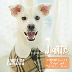 Photo of Latte