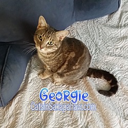 Photo of Georgie