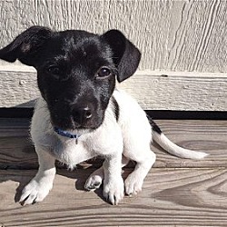 Photo of Walter