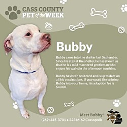 Thumbnail photo of Bubby #3