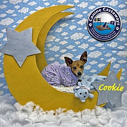 Thumbnail photo of Cookie #2