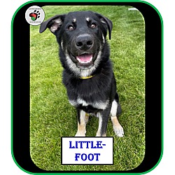 Thumbnail photo of Little-Foot - UPDATED #2