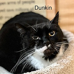 Thumbnail photo of Dunkin #3