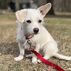 Photo of Mimi
