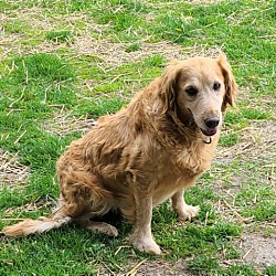 Photo of Sasha